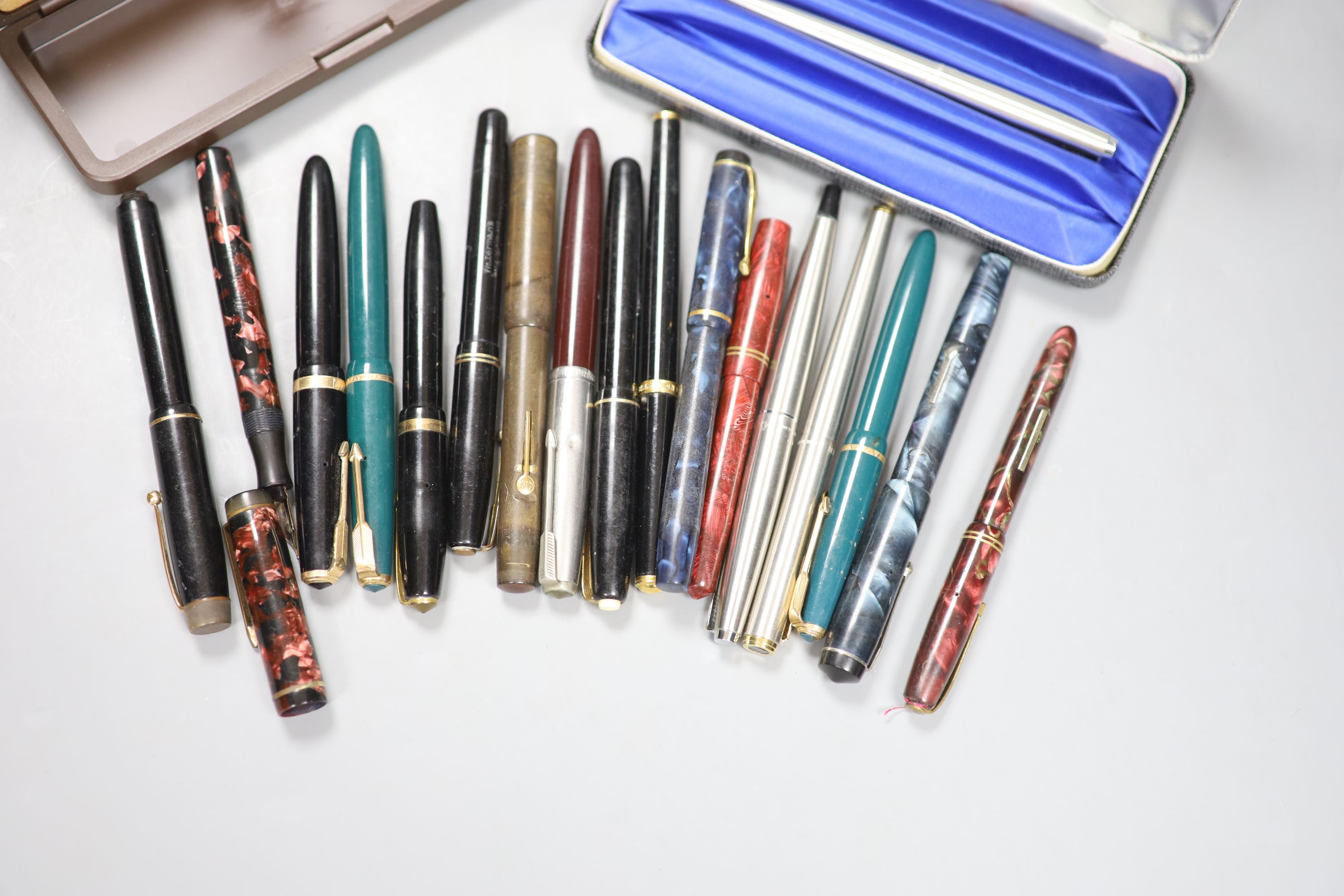 A collection of fountain pens